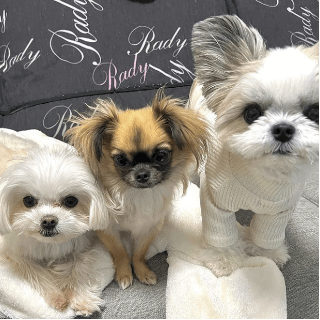 インスタグラムイメージ