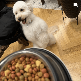 インスタグラムイメージ